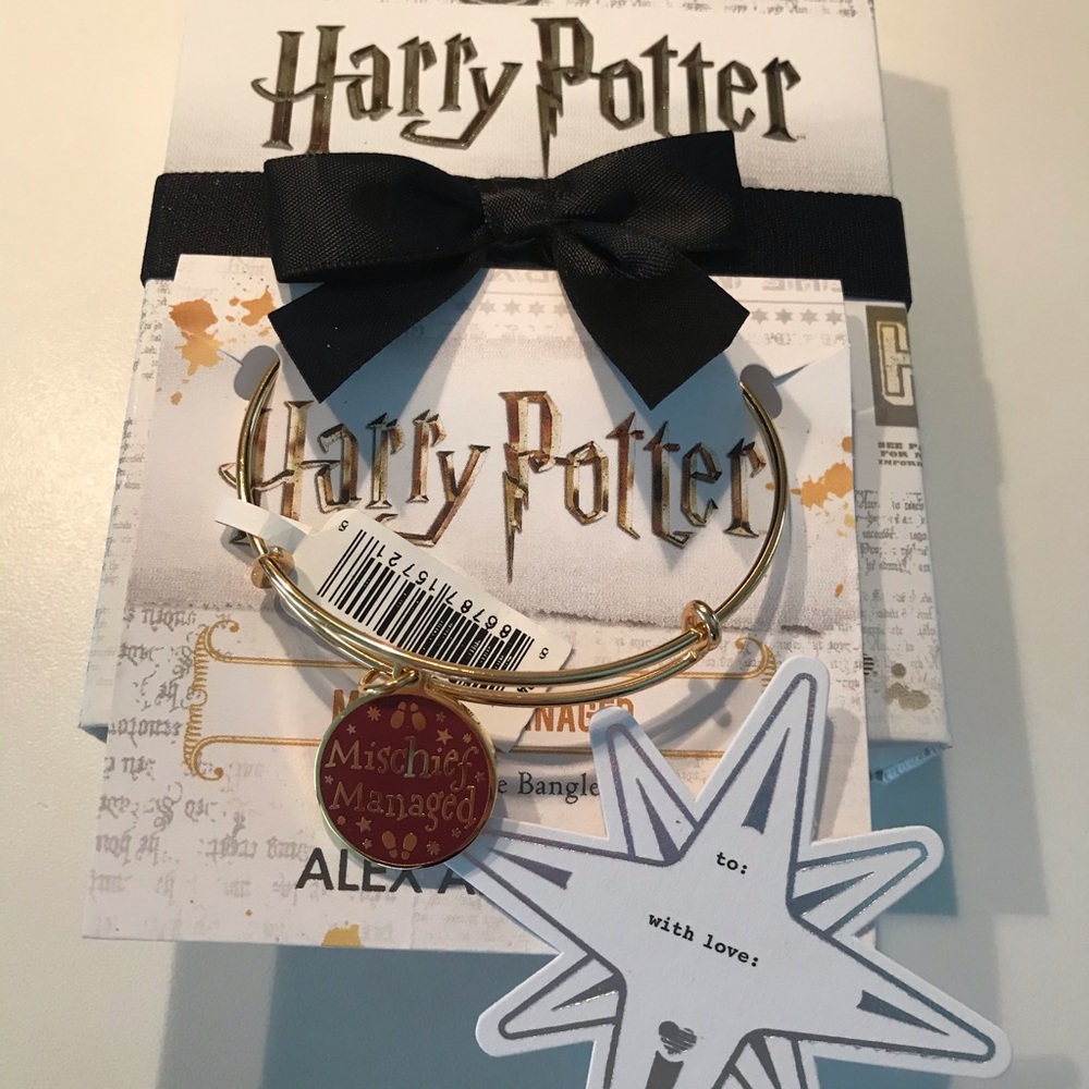 Alex and Ani Mischief Managed